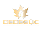 Dedegüç Sekant Makina Logo